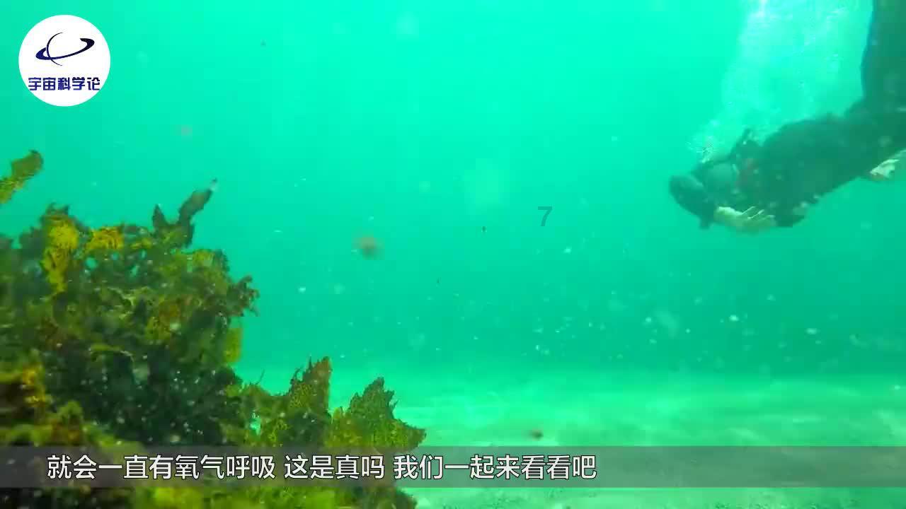 解雇姐的底气来源于哪里？上面有人？对法律的漠视？对话令人瞠目